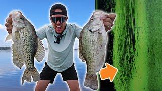 How I Find Big Texas Crappie After Spawning! CATCH & CLEAN