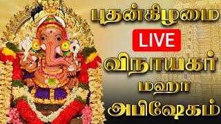 LIVE புதன்கிழமை விநாயகர் அபிஷேகம் பாருங்க! | Vinayagar Abhishekam  #shorts #ganesh #ganeshchaturthi