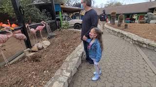 Petrova's First Zoo Trip!