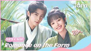 Special：Sweet LoveThe Prince Fell in Love with Cinderella🪄 | Romance on the Farm | iQIYI Romance