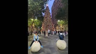 Martin Place Christmas tree