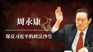 周永康：谋反习近平的政法沙皇 | 解密共和国第一大真实政变案  | 江泽民| 曾庆红| 温家宝| 令计划| 薄熙来