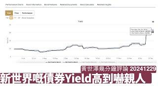 新世界發展美元債嘅Yield高到嚇人 反映機構投資者根本唔信鄭家搞得掂 信貸評級機構唔可能唔做嘢 一場大風暴嚟到香港準備好未？ 黃世澤幾分鐘評論 2024年12月29日