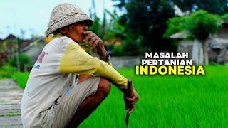 Permasalahan Pertanian Di Indonesia ~ Penyebab Pertanian Di Indonesia Masih Tertinggal