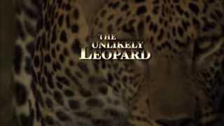 The Unlikely Leopard Conservation Message