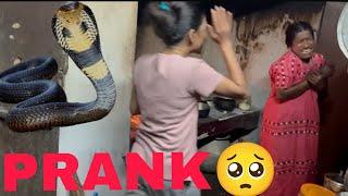 SNAKE PRANK ️GONE WRONG |prank