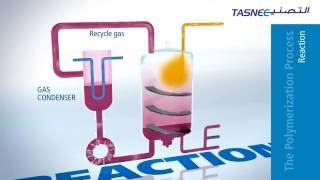 Polypropylene (PP) Production Process Overview