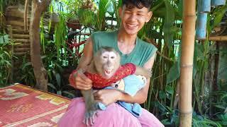 Lovely Monkey Koko So much happy while he playing with Brother Minh