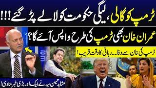 PMLN Govt in Danger After Trump Arrival in White House | Imran Khan Release | Mushahid Hussain Syed