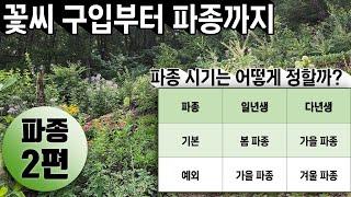 파종 2편 | 파종 시기는 어떻게 정할까? | 꽃씨 구입 | 해넘이한해살이? 월년초? 두해살이? | 일년생 가을 파종 | 다년생 겨울 파종 | 강원도 정원 가을 파종