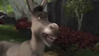 Shrek but its only 10 seconds a day and every second is random 379