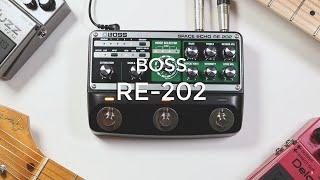 Boss RE 202 Space Echo | It's Real and It's Spectacular!