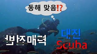 동해에 이런 곳이? (9월 영덕 대진 Scuba)