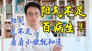 阳气不足，百病生！阳气足不足，通过小便就知道，教你2招温补肾阳，让你阳气充足，生命旺盛，男女都合适【英德中医何医生】