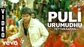 Vettaikaaran - Puli Urumudhu Video | Vijay
