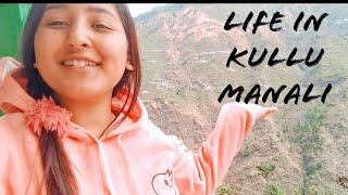 Milking the cow for the first time | Kullu Manali| Ankita Thakur