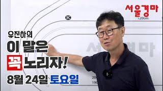 유진하의 이 말은 꼭 노리자!(2024년 8월 24일 토요일)