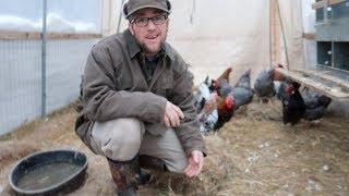 Maintaining our Chicken Coop and Pig Pen in the Winter ~ Modern Steader tour