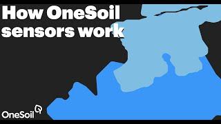 How OneSoil sensors work