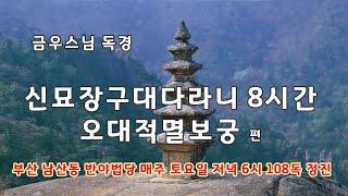 금우스님 신묘장구대다라니 8시간 / 빠른독경/오대적멸보궁 삼대관음도량 배경