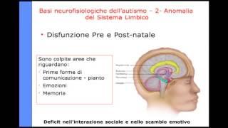 Seminario online "Autismo e basi strutturali, cause, approcci ed ipotesi" 17 ottobre 2013