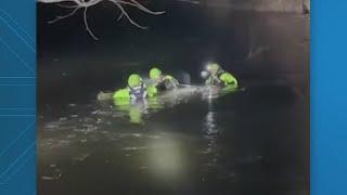 Fairfax County firefighters rescue dog from creek