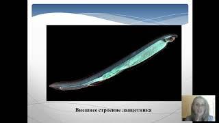 Зоология