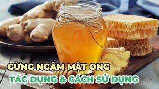 Gừng ngâm mật ong có tác dụng gì? Nên uống gừng ngâm mật ong vào lúc nào? - Kênh Hướng Dẫn