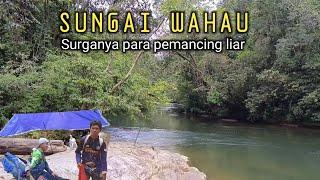 5 Hari mancing camping !! Berpetualang bertahan hidup di tengah hutan Kalimantan