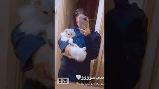 ستوريات قمر الطائي