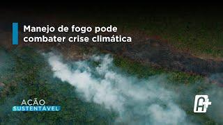 Pesquisa Explorou Novo Padrão de Uso do Fogo na Amazônia.