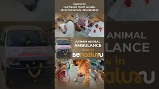 Arham Animal Ambulance now in Bengaluru!