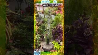 Gardening #garden #shortsfeed #shorts #short #shortvideo #plants  #seedsplants33