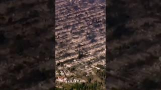 60 Minutes surveys L.A. fire damage from the air #shorts