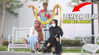 Prank Ular Piton Besar di Tempat Umum!  Reaksinya Lucu Banget