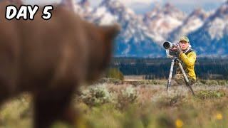 Once in a Lifetime Experience in Yellowstone