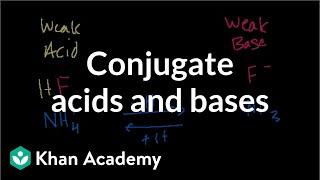 Conjugate acids and bases