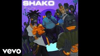 Barry Jhay - Shako (Official Audio)