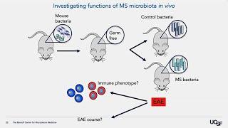 The Gut-Brain Axis - Gut Microbiome Influences on Neurological Disease