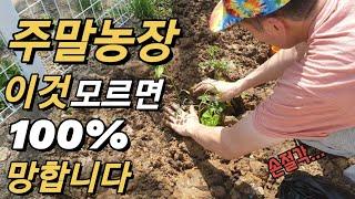 농막(주말농장) 이것 모르면 100%후회합니다 / 귀농 이동식주택