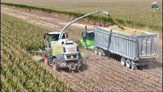 2024 Corn Silage Harvest at Warren Dairy | Sunset Farms