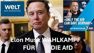 LINKE IN PANIK - Elon Musk schreibt WELT ARTIKEL - WARUM er FÜR AFD ist