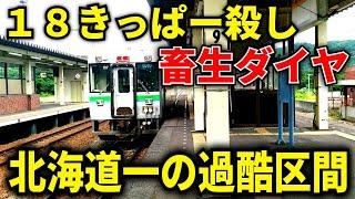 【３時間待ち】石勝線があまりにも１８きっぱー殺しだった件。【石勝線がトラップである理由】