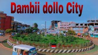 Magalaa Dambii dollo #Dambi dollo City by Shaloom Entertainment