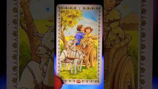 YOUR MAGICAL LOVE STORY THIS SUMMER! The ULTIMATE SOULMATE Tarot Reading!Tarot Love Reading #tarot