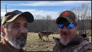 Live Q&A with Coyote Wacker and Bluegrass Trapper. #trapping