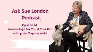 Numerology For You & Your Pet on Ask Sue London podcast