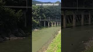 250622 삼탄쏘가리낚시 물상황