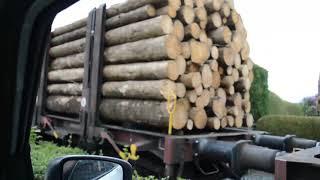 Holzzug auf der WLE-Strecke in Erwitte