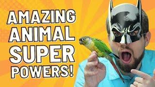 Amazing Animal Superpowers for Kids